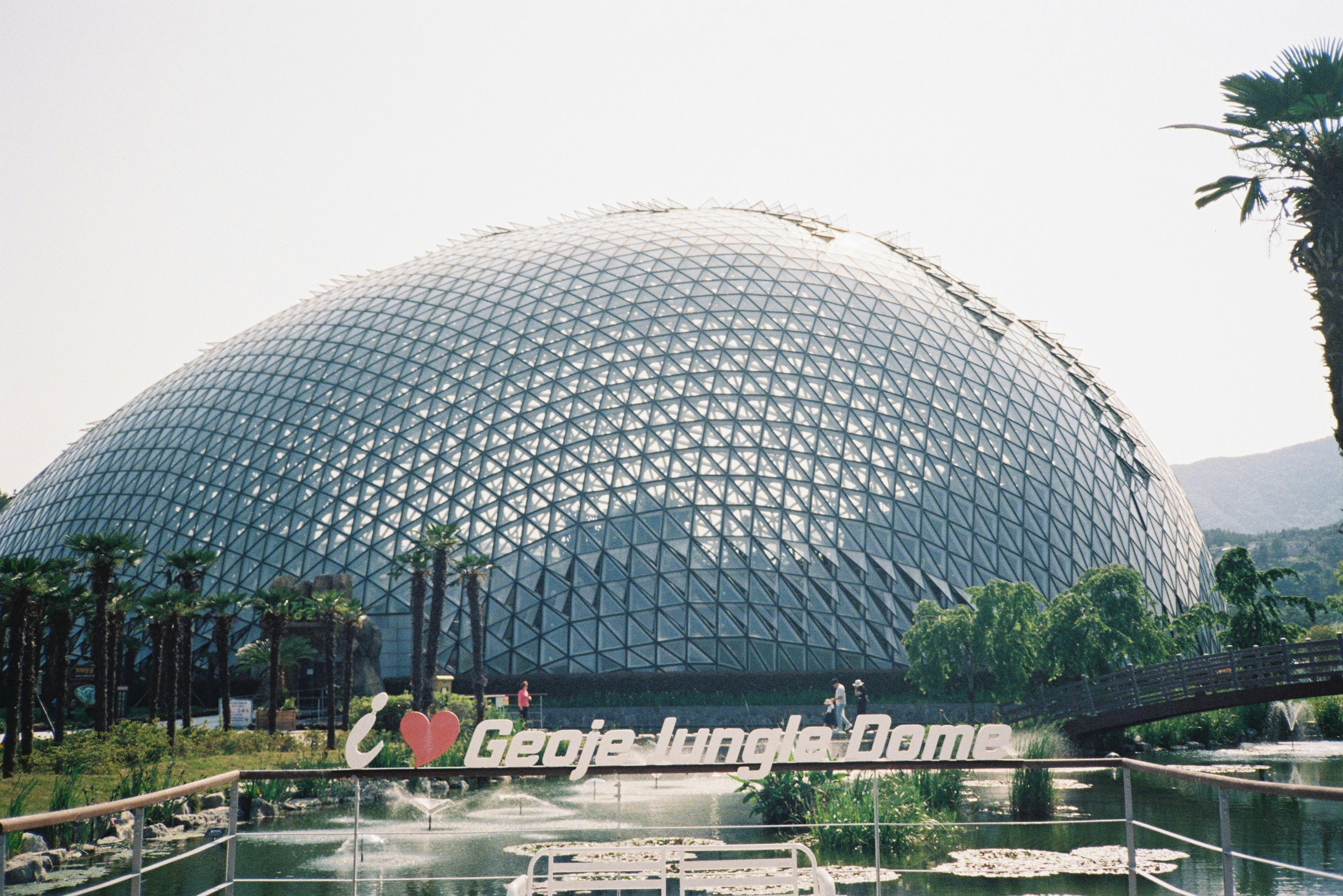 Attraction Photo