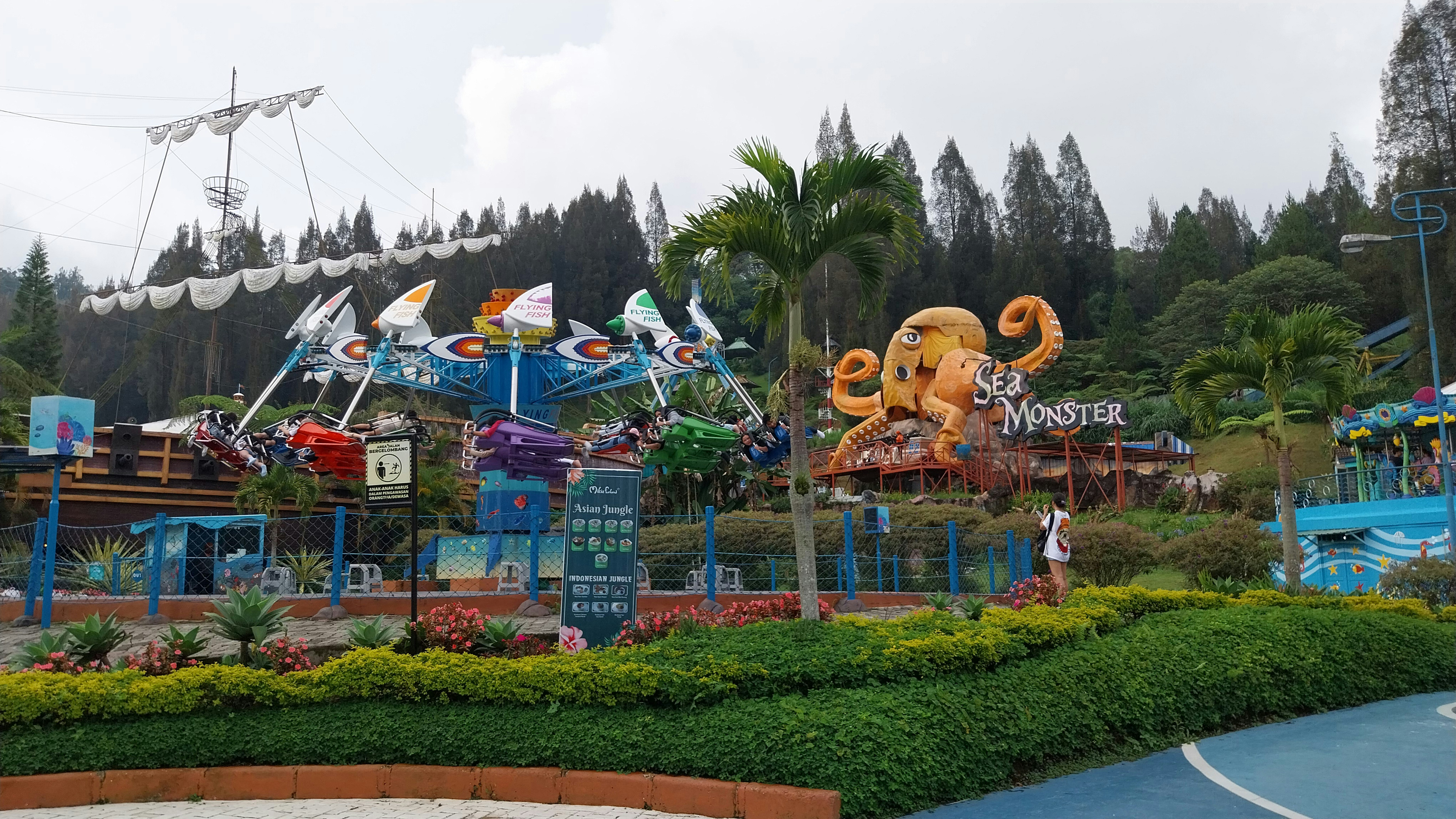 Attraction Photo